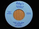 The Outcry Mich Garage Rock 45 Cant You Hear bw Gravey Covered Fruit Cake Rileys