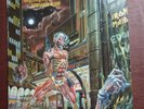 IRON MAIDEN 