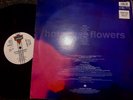 Hothouse Flowers -   828 350 -1  Songs From The Rain ️ 1993 UK Press LP