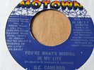 G. C. Cameron    :   You're What's Missing In My Life   -  Motown  -  70's
