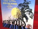 Stepen Sondheim's INTO THE WOODS vinyl LP Bernadette Peters  W/BOOK