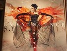 Evanescence LP Synthesis 2 Discs (LP-195