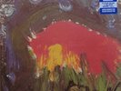 Meat Puppets - Meat Puppets II (12