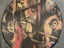 RARE SLAYER Reign In Blood Picture  Disc Vinyl Germany 1986