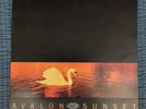 VAN MORRISON - Avalon Sunset. 1989 UK First Pressing LP Vinyl. Polydor