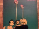 The Gun Club Miami 1982 Vinyl Animal Records Missprint