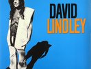 David Lindley & El Rayo-X Rayo-X (Vinyl) (UK IMPORT)