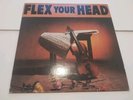 FLEX YOUR HEAD original DISCHORD First Press W/Insert Minor Threat Punk Hardcore