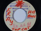 Reggae 45 MAYTALS Bla Bla Bla/Reborn VG+ blank