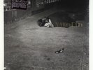 John Zorn - Naked City LP - Elektra Nonesuch SEALED