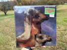 *SEALED* 1990, The Roches, We Three Kings, Vinyl Record LP MCA-10020, Christmas