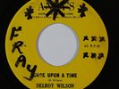 Reggae 45 DELROY WILSON Once Upon A Time/Version on Andy's VG++