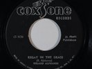 Reggae 45 ROLAND ALPHANSO/ROY RICHARDS Regay In The Grass/Get Smart on Coxsone