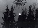 Darkthrone - Panzerfaust LP