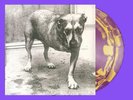 Alice in Chains Purple & Yellow Self-Titled D2C 30th Anniversary Vinyl SOLD OUT