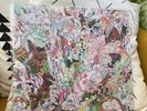 Lightning Bolt: Earthly Delights (Vinyl) Load Records – Load 126-- 2009 Rock