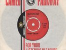 Chubby Checker You Just Don't Know   Cameo Parkway P965 Soul Northern Motown