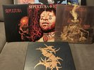 SEPULTURA - The Roadrunner Albums: 1985-1996 6 x Colored VINYL LP Box Set