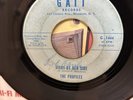 RARE DOO WOP 1965/PROFILES-RIGHT BY HER SIDE/NEVER/VG+ VINYL /WOL/GREAT