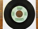 Detroit Garage 45 Record The Five Bucks Afton No Use in Trying/Now You’re Mine