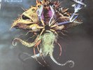 Ween the Mollusk 2009 Pressing LP 180g Vinyl Album (Plain Recordings)