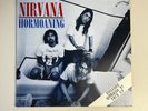 Nirvana hormoaning 12