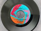 The Parliaments - ALL YOUR GOODIES ARE GONE rare US 1967 NORTHERN SOUL FUNK EX++