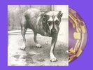 Alice in Chains Purple & Yellow Swirl Self-Titled D2C 30th Anniversary Vinyl LP