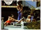 Lovefool : The Cardigans : 7 inch