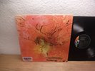 MOTHERHOOD (DOLDINGER) SAME LP 1970 MINT archive KRAUT. MONSTER