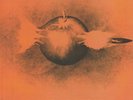 PAPWORTH, Keith - Hard Hitter - Vinyl (LP)