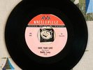 Buddy Lamp 45 Save Your Love / I Wanna go Home 1967 Northern Soul EX
