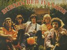 BURNIN RED IVANHOE LP very good/ex condition WARNER BROS WS 3013