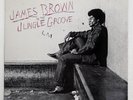 JAMES BROWN IN THE JUNGLE GROOVE POLYDOR 8296241Y2 US VINYL 2LP