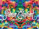 Shaman Elephant Crystals (Vinyl) 12
