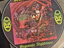 Demented are Go-Orgasmic Nightmare LP-1991 Germany-Picture LP