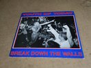 Youth Of Today  Break Down The Walls 1986 US OG Pressing