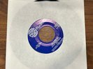 Vintage 1984 Vinyl 45 Record - Go Cubs Go - Steve Goodman & Chicago Cubs Chorus