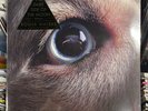 ROGER WATERS The Dark Side Of The Moon Redux 2x BLUE VINYL LP RECORD New