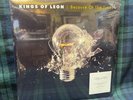 Kings of Leon Because Of The Times Vinyl LP
