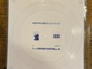 HIPPO CAMPUS Limited Edition / 1000  Clear Flexi-Disc vinyl 