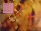 Steamhammer Reflection Vinyl Record VG/G+ CBS63611 1969