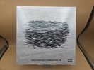 Vince Staples Summertime '06 [Segment 2] Amazon Ex Ghost LP record new 12 inch