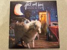 Fall Out Boy Infinity On High 15th Anniversary Glitter Blue Vinyl Record 2LP