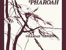 PHAROAH SANDERS - PHAROAH DELUXE EDITION 2LP - Vinyl Record - F99z