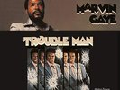 Marvin Gaye - Trouble Man - Vinyl Record - F99z