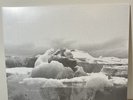 If These Trees Could Talk-The Bones of a Dying World 2LP Black Vinyl Etched 2016