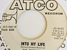 The Precisions   **  Into My Life   **  Atco  Demo   **   60's Soul 45  **