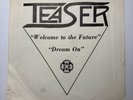 TEASER Welcome To The Future/Dream On 45 RPM 1979 Music City Records RARE Vinyl