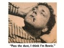 BLACK & THE METROSQUAD RANDY Pass the Dust I Think I'm Bowie (Vinyl) (US IMPORT)